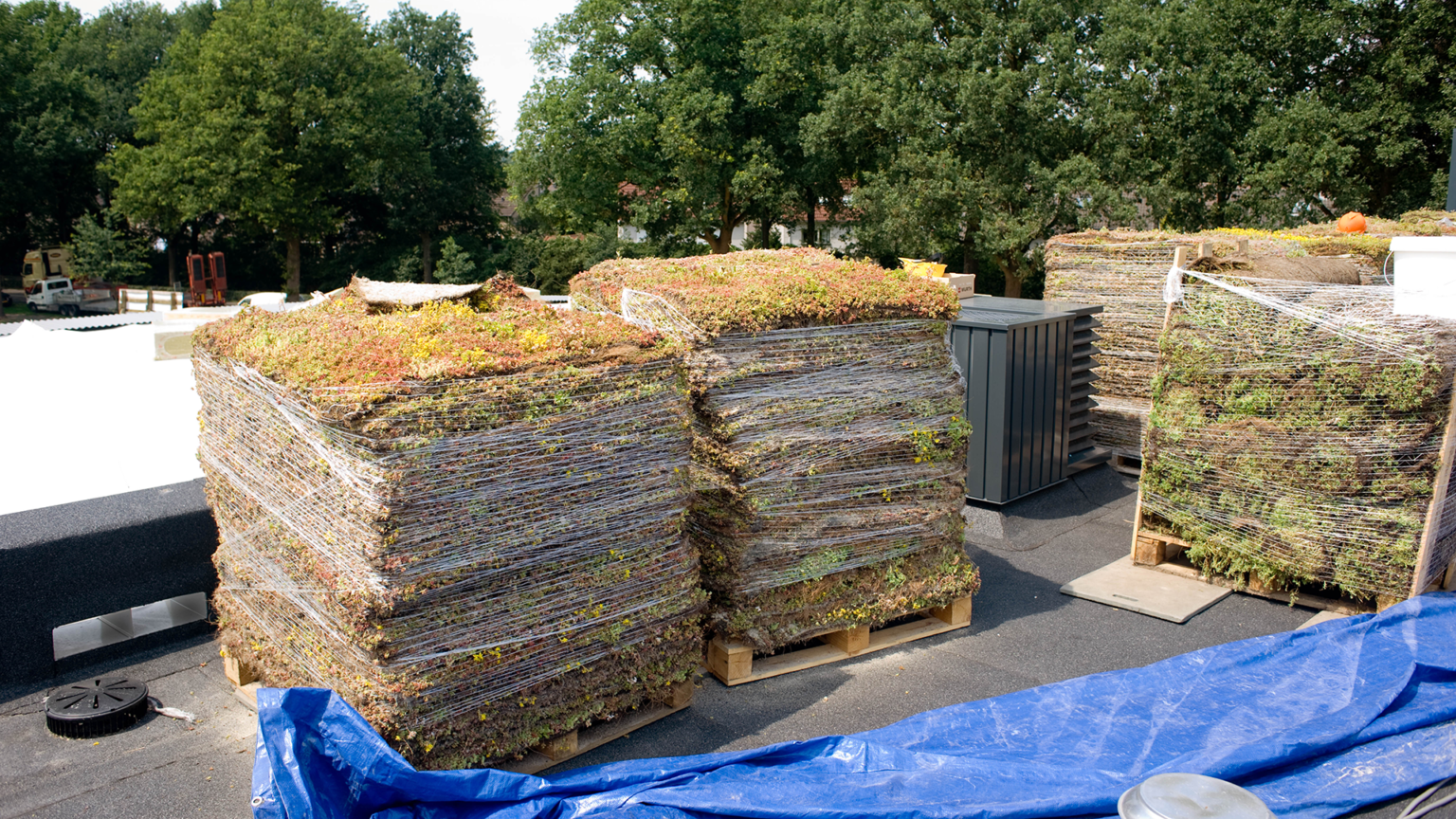 Brandweerkazerne st michielsgestel_extensief steil groendak_sedummatten_WEB (4)