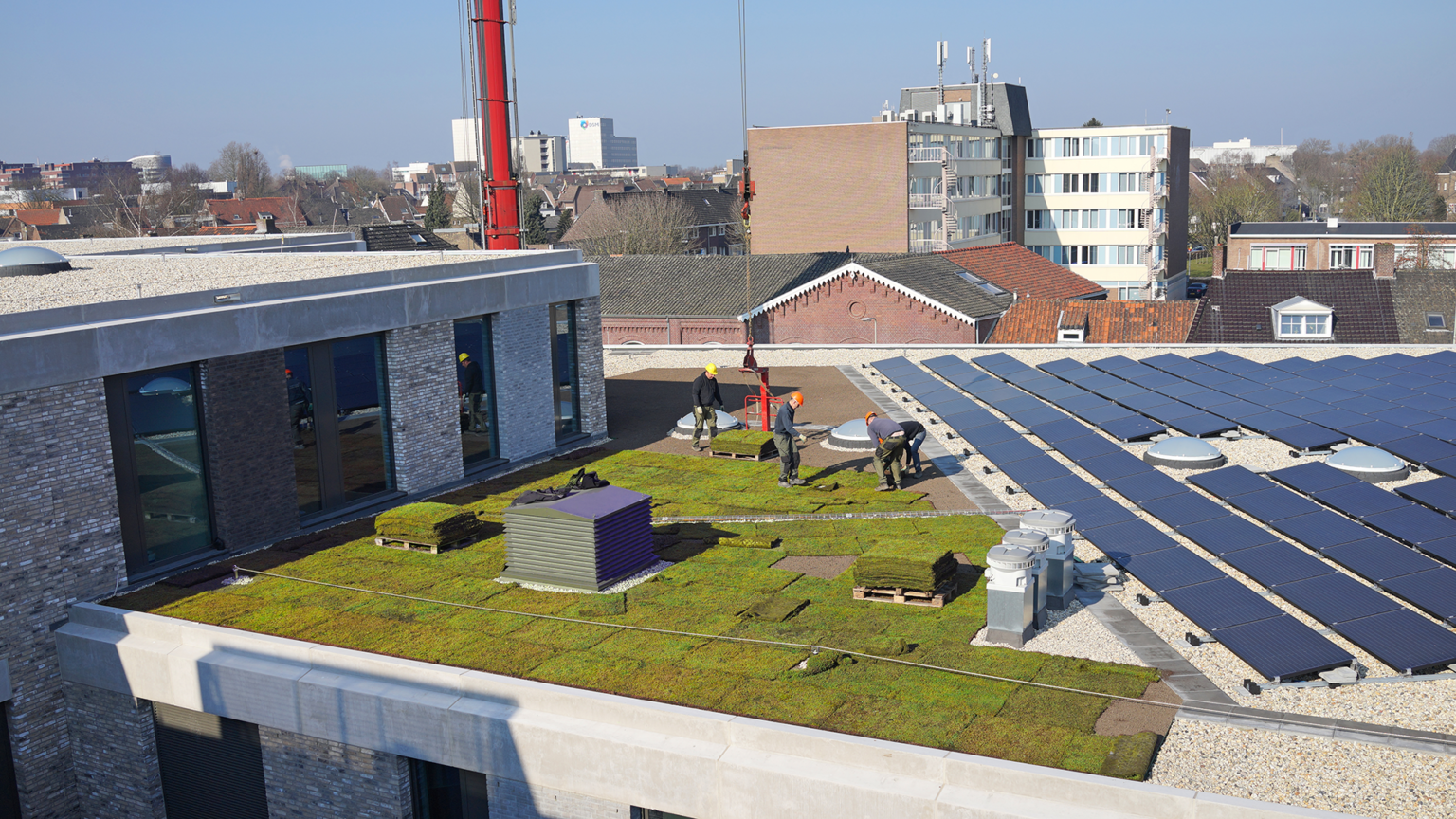 Ligne Sittard_extensief groendak in aanleg_WEB (2)